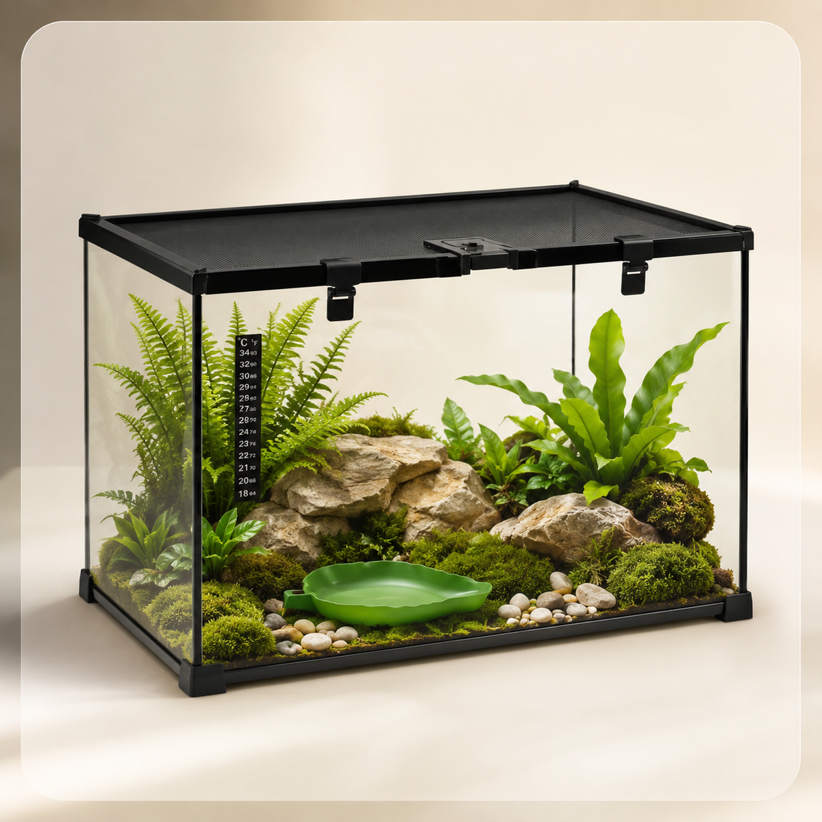 Terrarium Verre Compact 50 cm