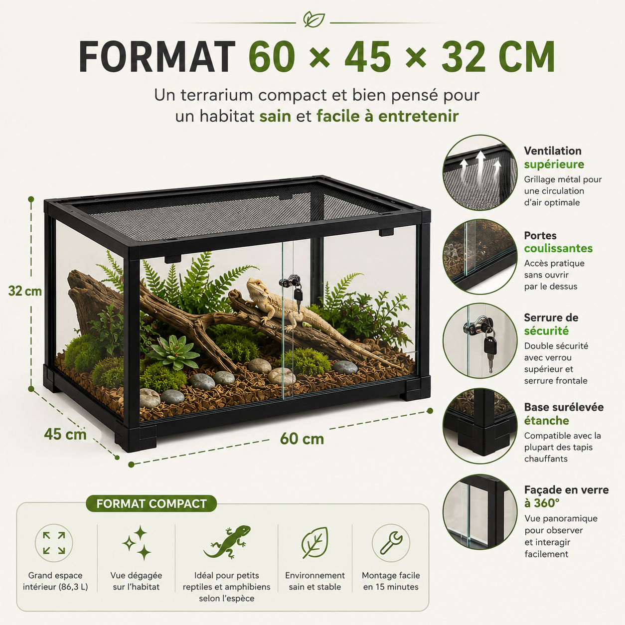 Terrarium Verre 60 cm - Un terrarium compact et facile à surveiller