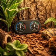 Thermomètre Hygromètre Terrarium