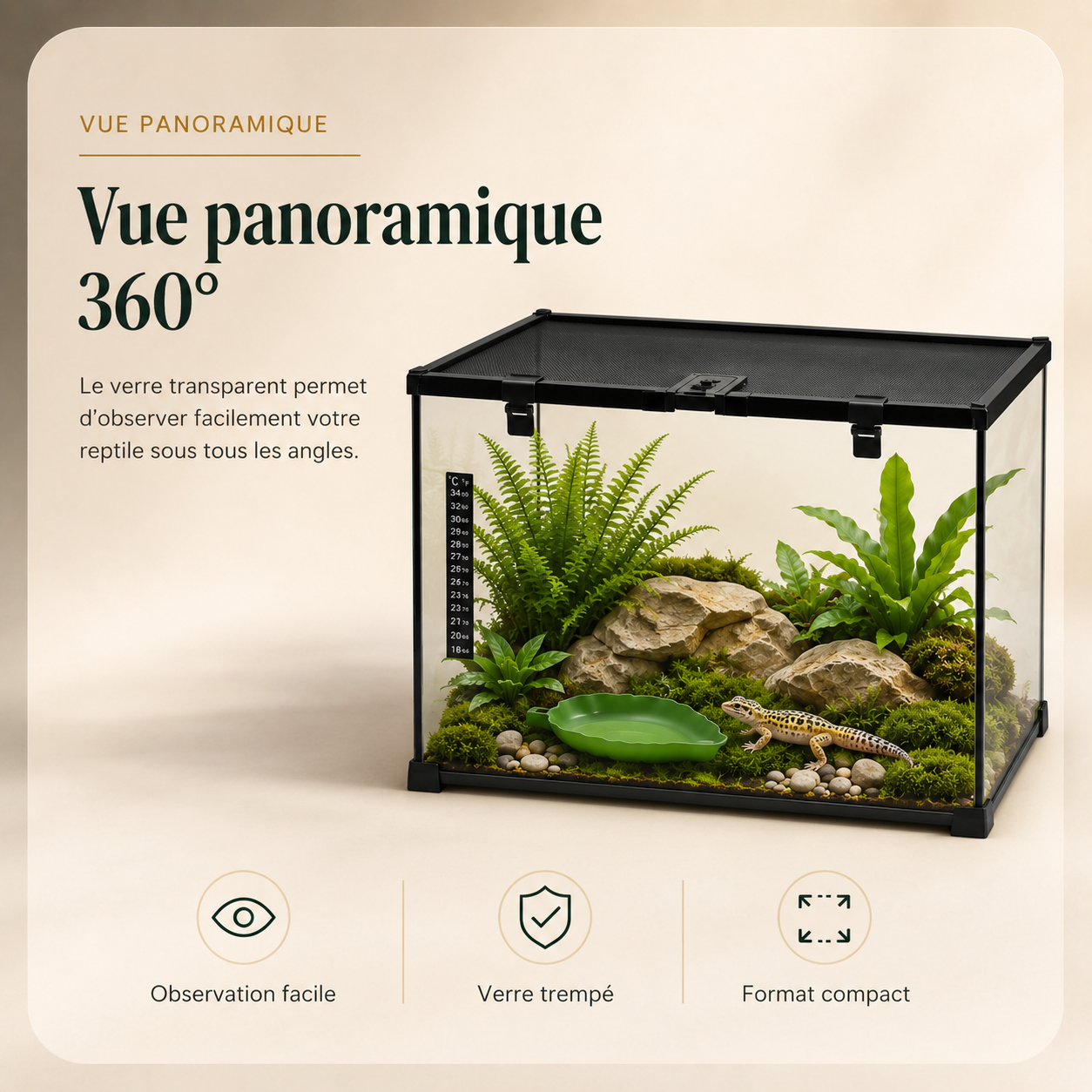 Terrarium Verre Compact 50 cm - Une vue claire sur l’habitat