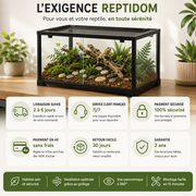 Terrarium Verre 60 cm