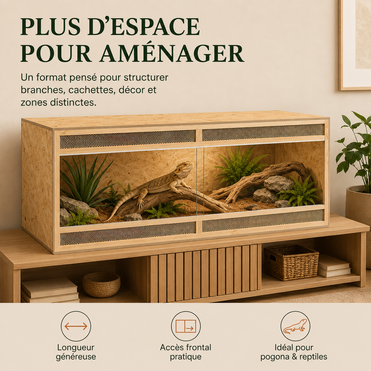 Terrarium Bois OSB 144 cm - Plus d’espace pour aménager