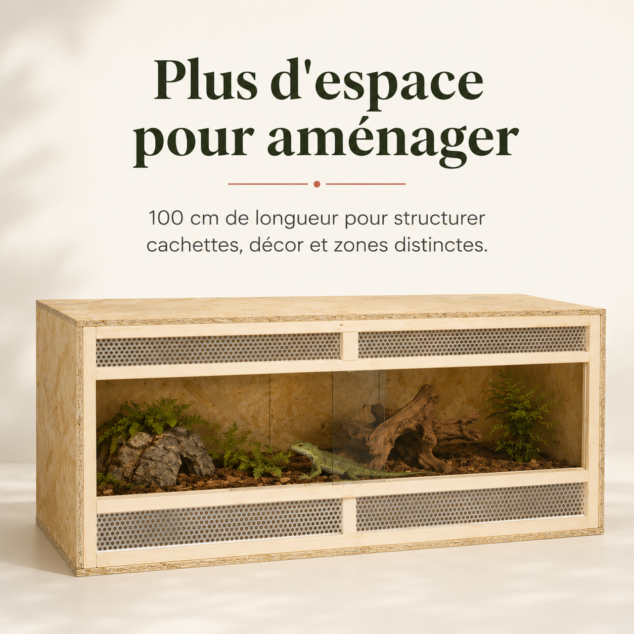 Terrarium Bois OSB 100 cm - Plus d’espace pour aménager