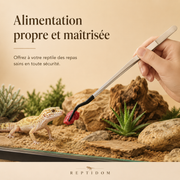 Pince d’Alimentation Inox 27 cm