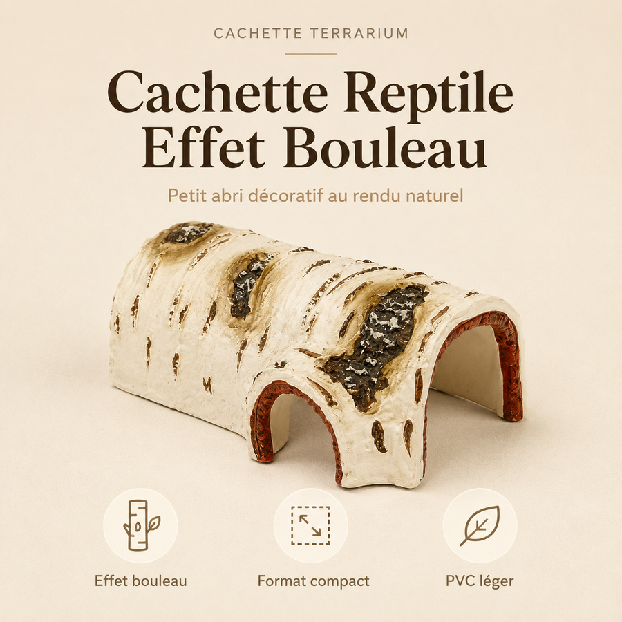Cachette Reptile Effet Bouleau