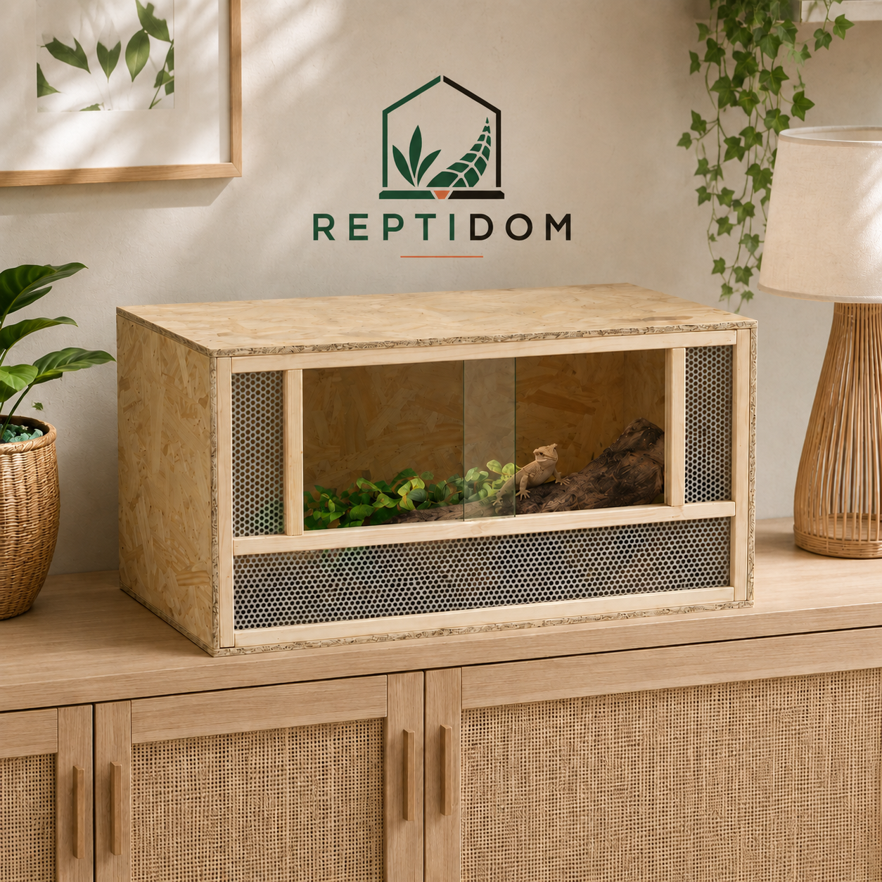Terrarium Bois OSB 80 cm - 80 cm pour démarrer avec une base claire