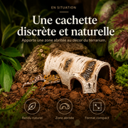 Cachette Reptile Effet Bouleau